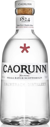 Caorunn gin.jpg