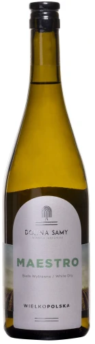 Dolina Samy Maestro.webp