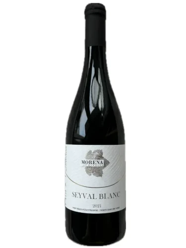 Winnica Morena Seyval Blanc.webp