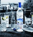 Grey-goose-2.jpg